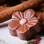 סדנאות שוקולד - סמיילי